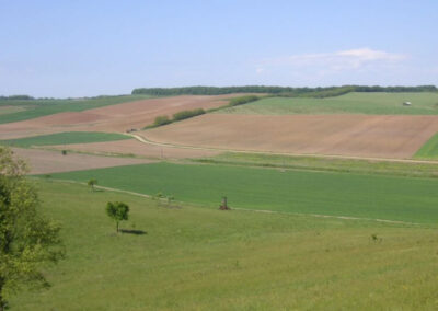 Tapio-Oko-Terv_Beszantott arter