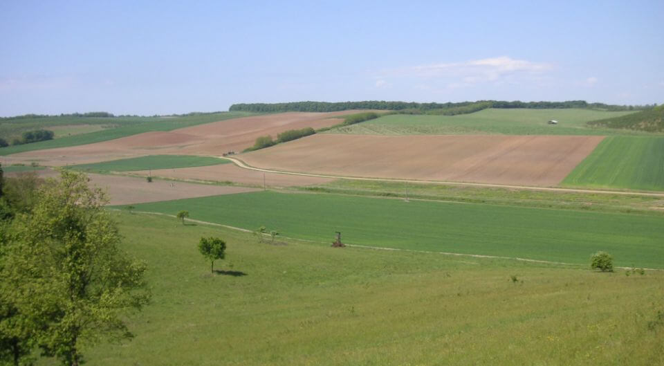 Tapio-Oko-Terv_Beszantott arter