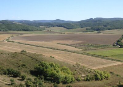 Tapio-Oko-Terv_Latkep_Fooldal