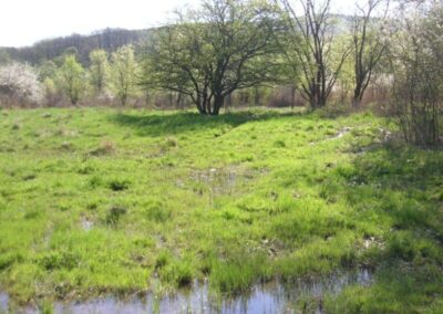 Tapio-Oko-Terv_Vizes taj