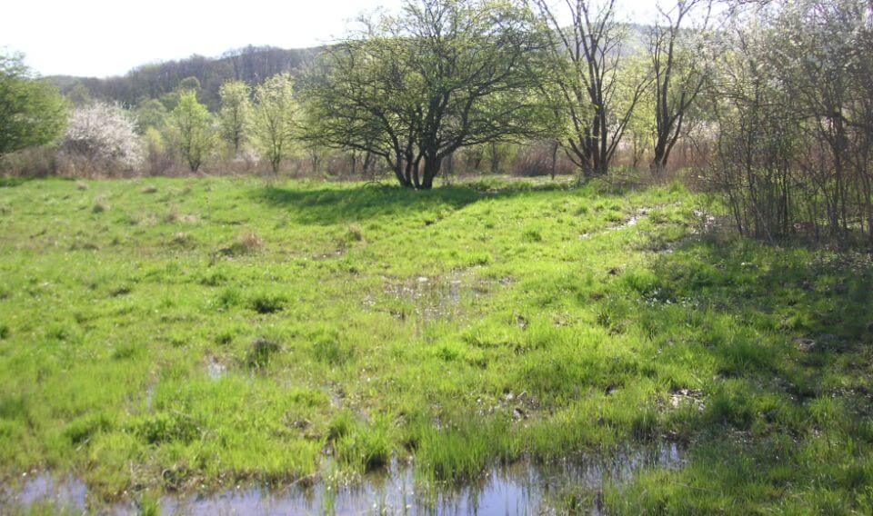 Tapio-Oko-Terv_Vizes taj